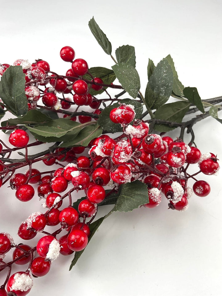 Red nandina berry spray with snow - Greenery MarketXB557 - RW