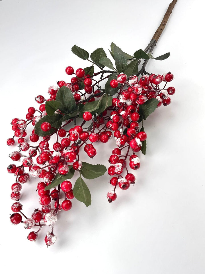 Red nandina berry spray with snow - Greenery MarketXB557 - RW