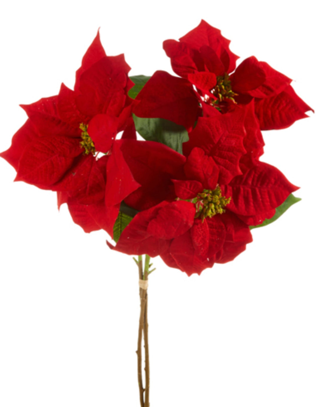 Red poinsettia stems bundle - Greenery MarketF4311636