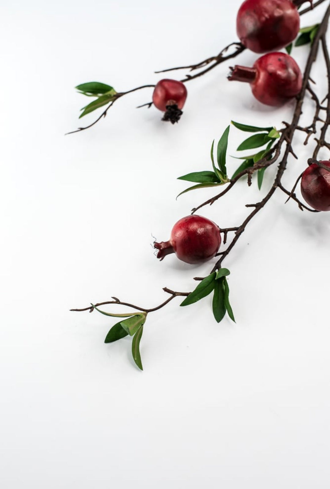 Red pomegranates spray - Greenery Market27831