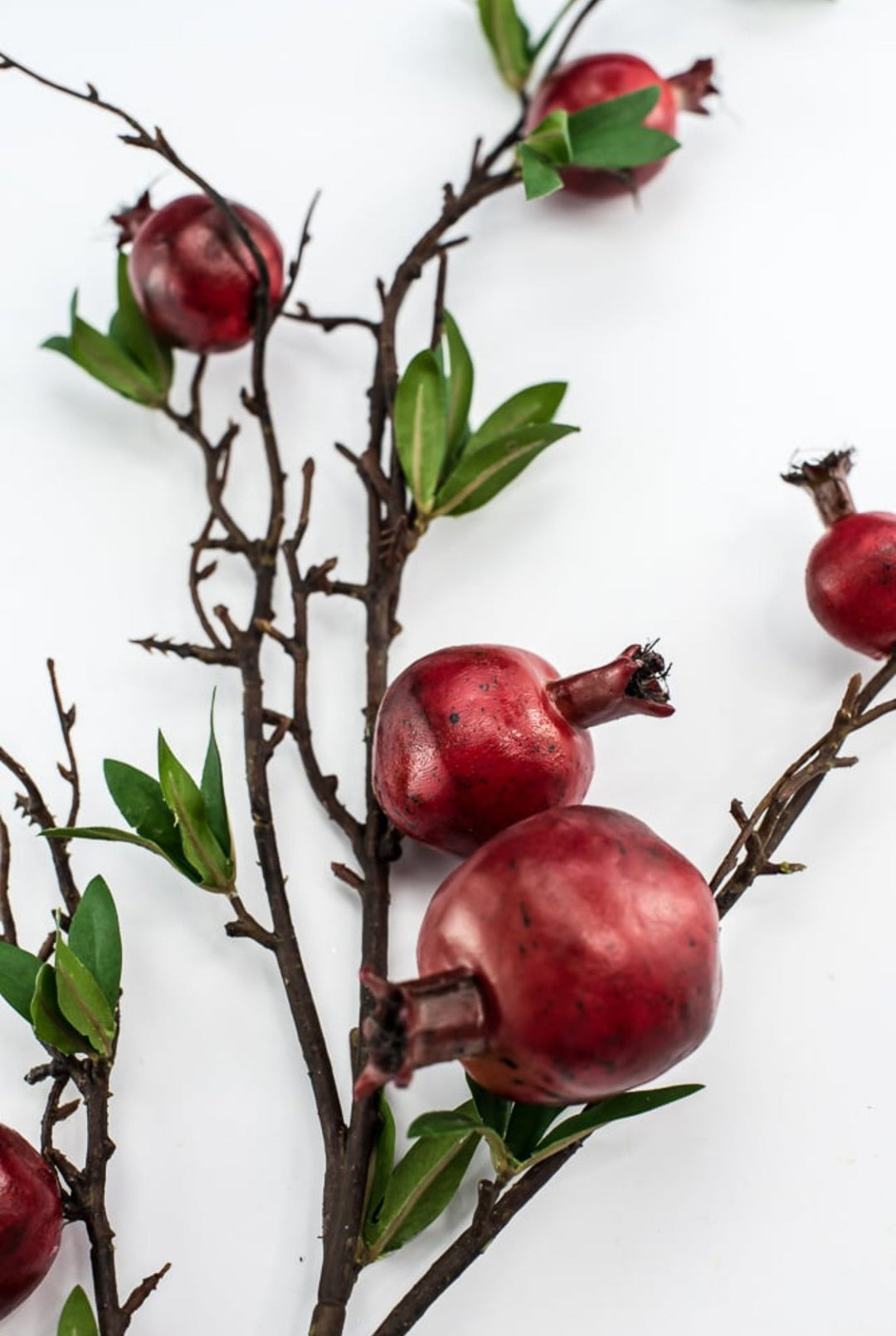 Red pomegranates spray - Greenery Market27831