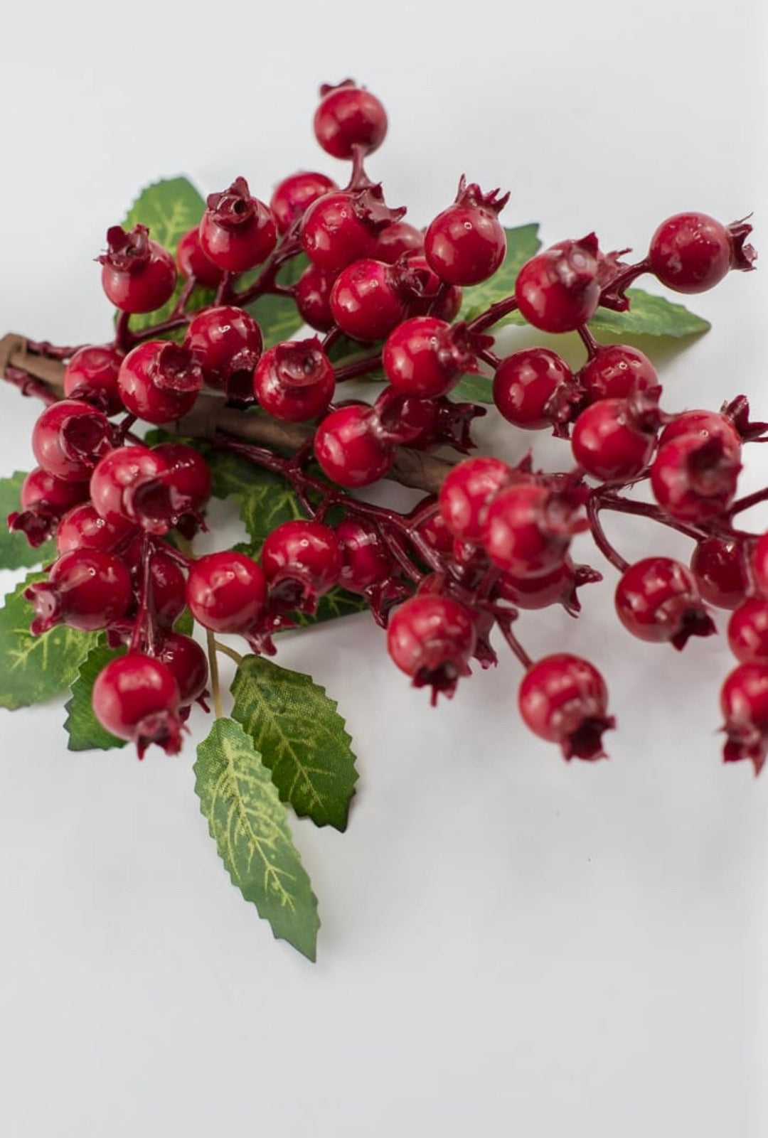 Red rosehip berry pick - Greenery MarketXB455 - R