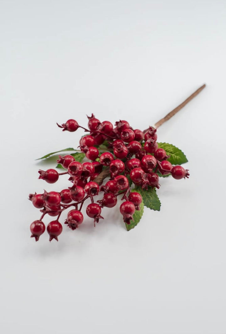 Red rosehip berry pick - Greenery MarketXB455 - R