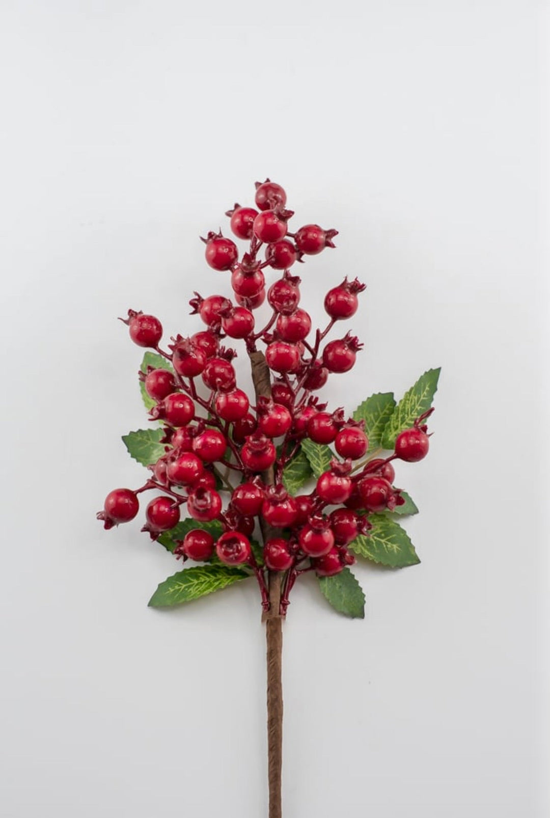 Red rosehip berry pick - Greenery MarketXB455 - R