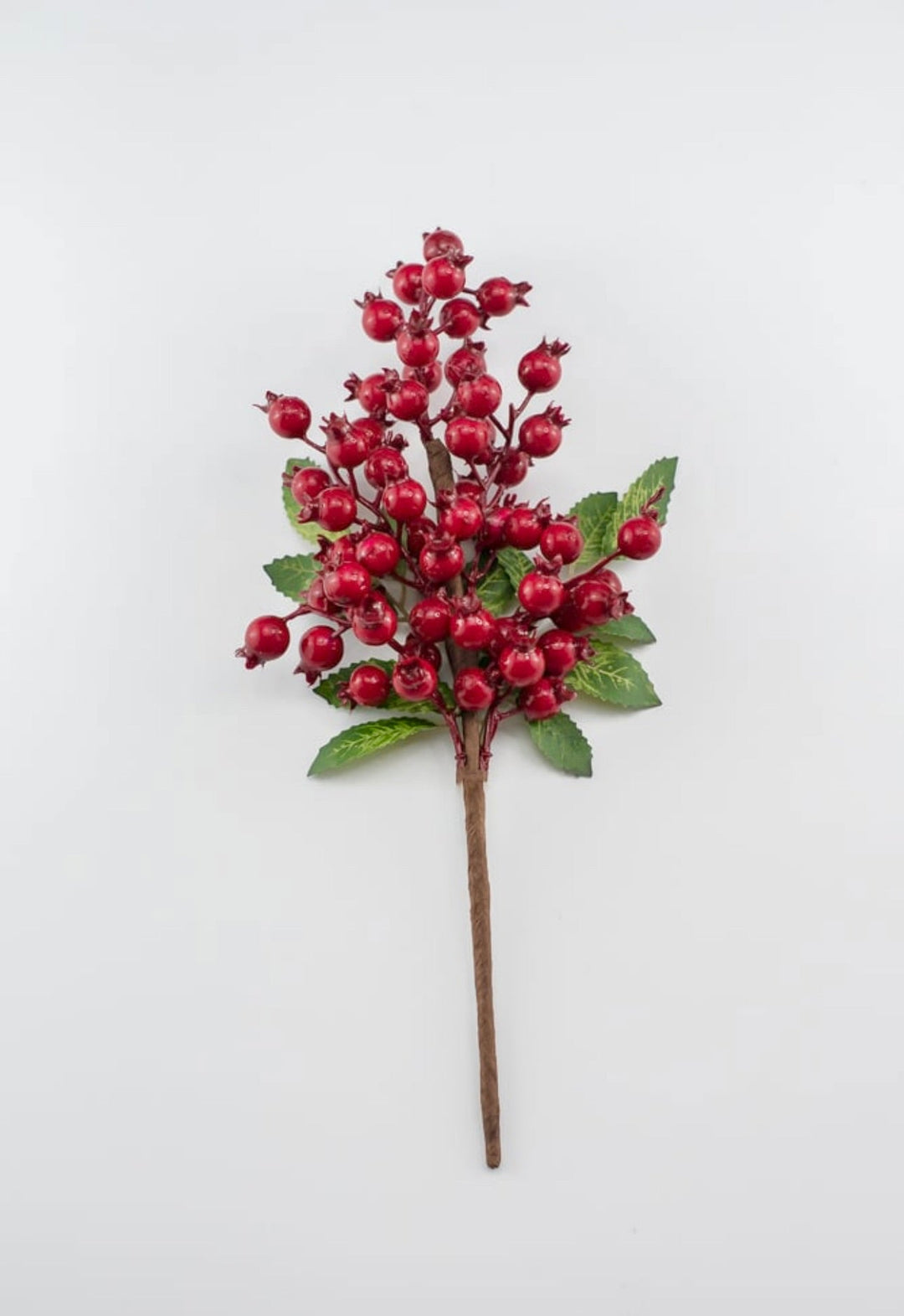 Red rosehip berry pick - Greenery MarketXB455 - R