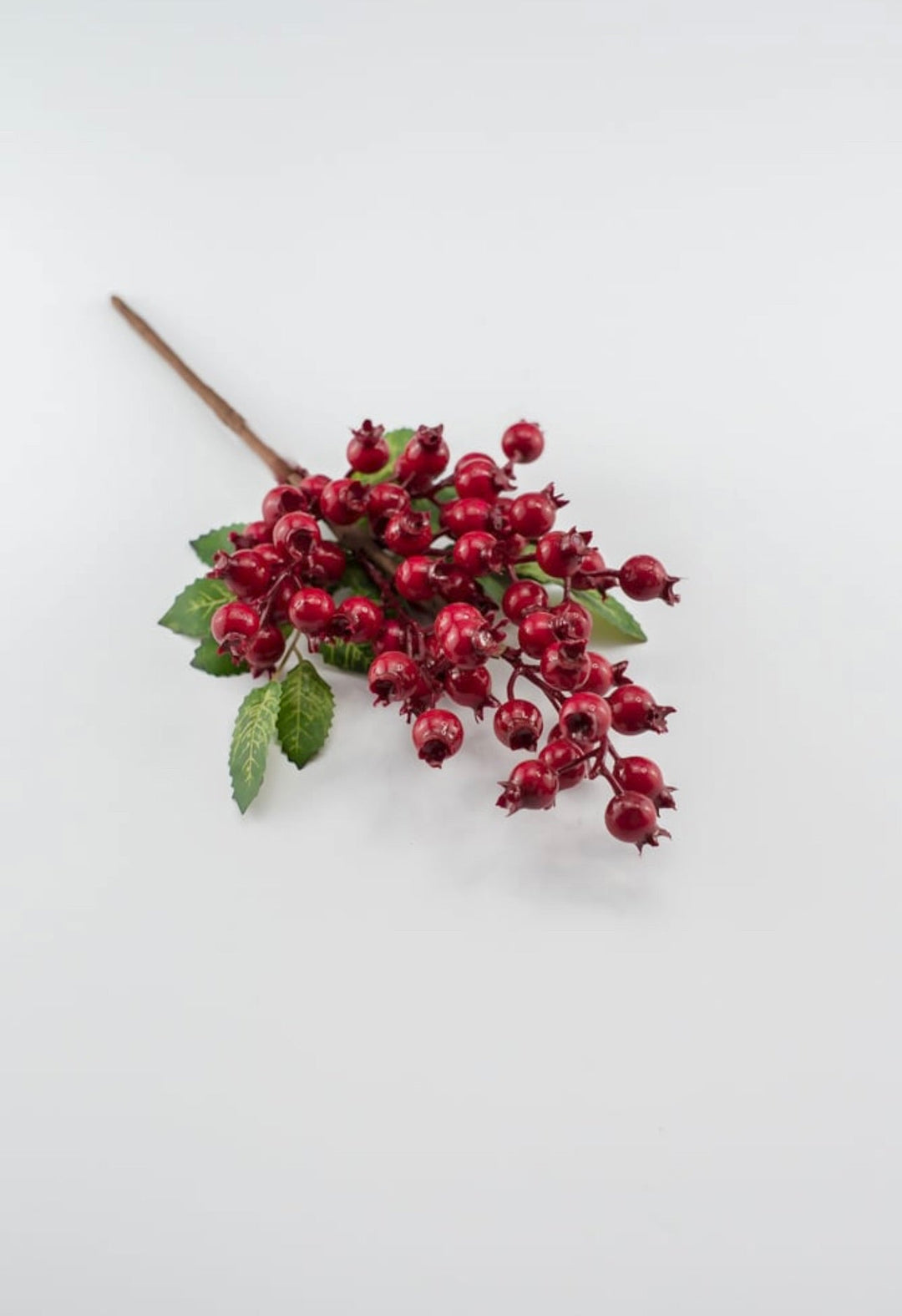 Red rosehip berry pick - Greenery MarketXB455 - R