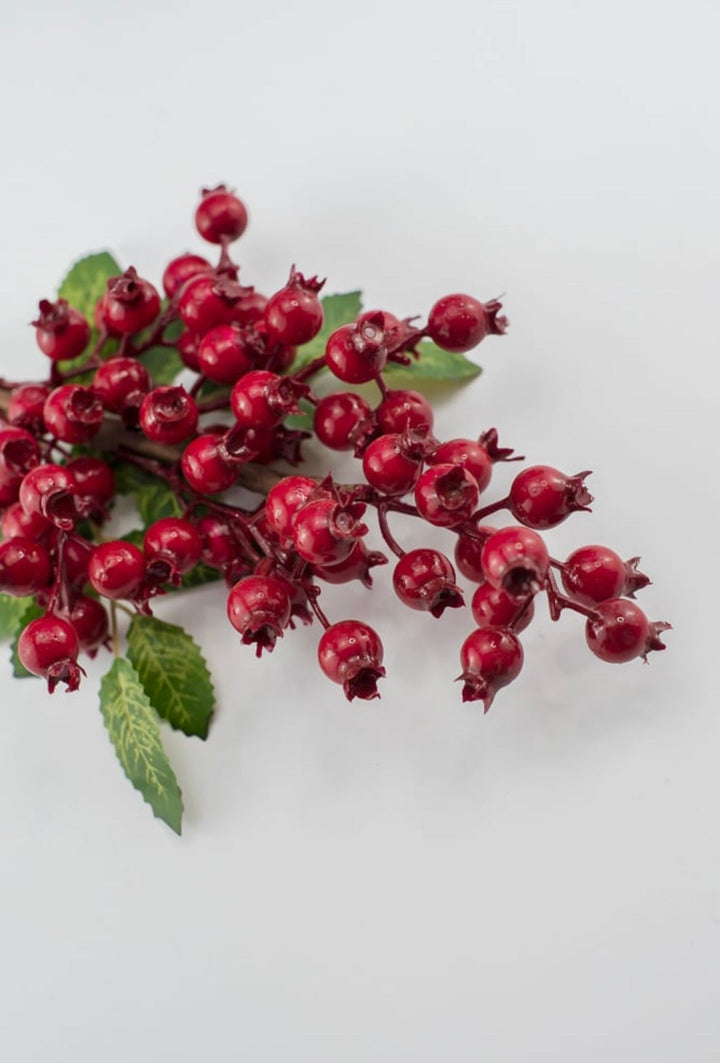 Red rosehip berry pick - Greenery MarketXB455 - R