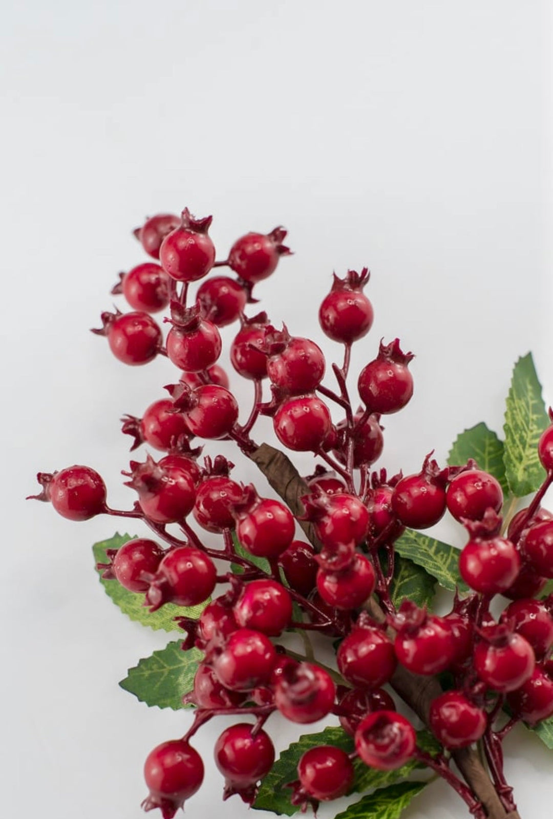 Red rosehip berry pick - Greenery MarketXB455 - R