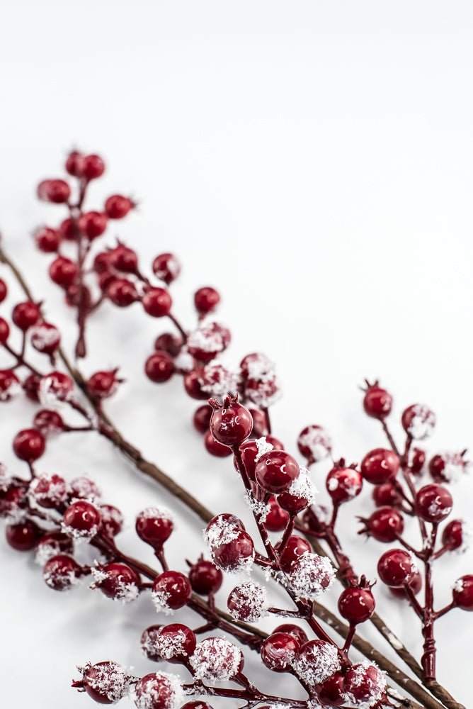Red snow berries spray - Greenery MarketWinter and Christmas83571RD