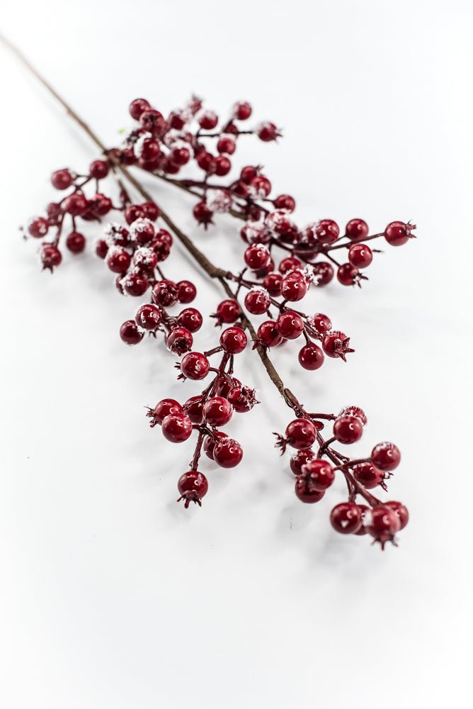 Red snow berries spray - Greenery MarketWinter and Christmas83571RD