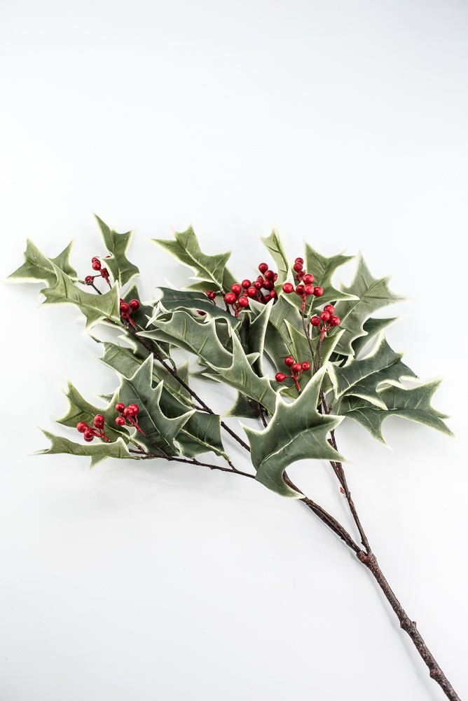Red Variegated Holly Spray With Berries - 31" - Greenery MarketXHS530-VG/RE