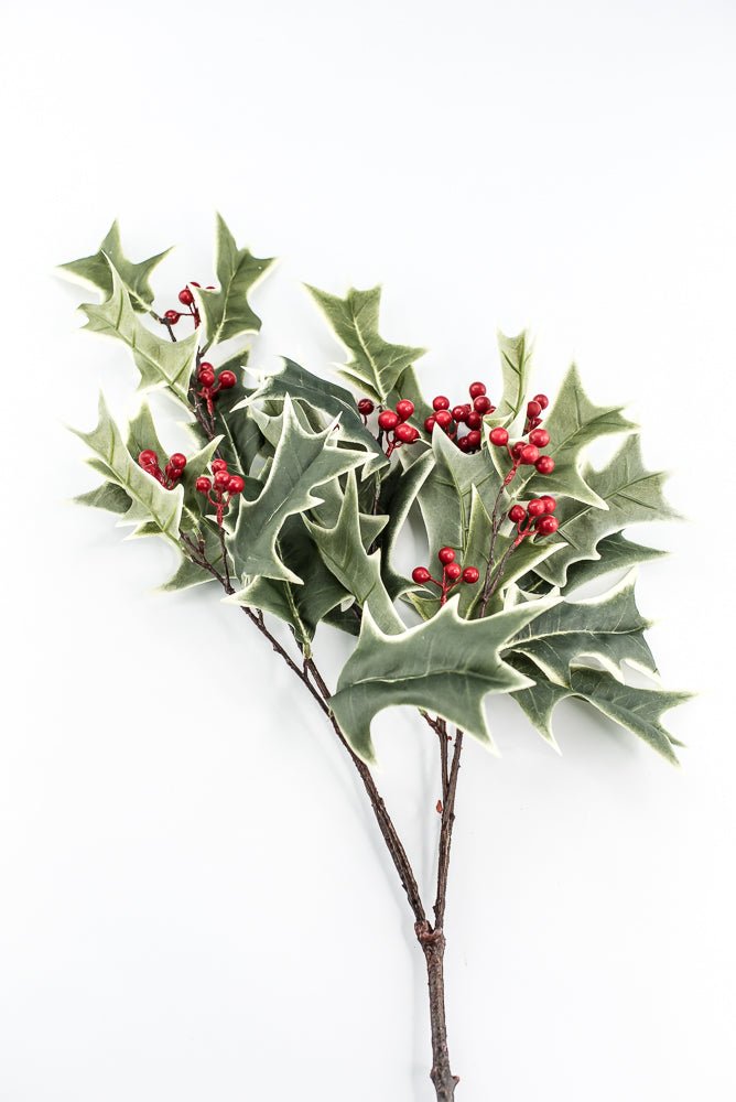 Red Variegated Holly Spray With Berries - 31" - Greenery MarketXHS530-VG/RE