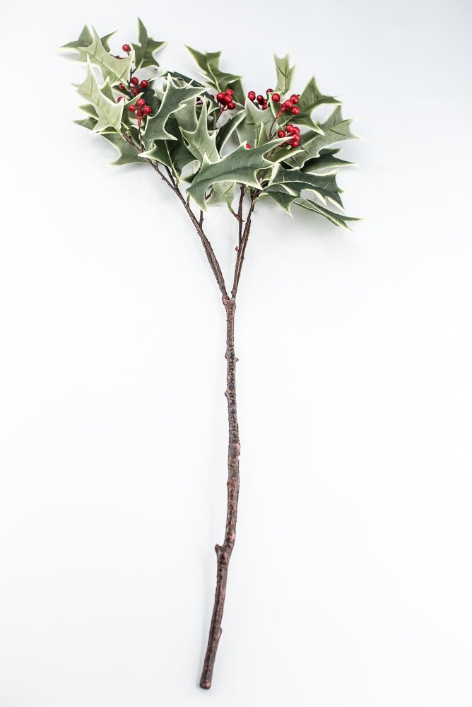 Red Variegated Holly Spray With Berries - 31" - Greenery MarketXHS530-VG/RE