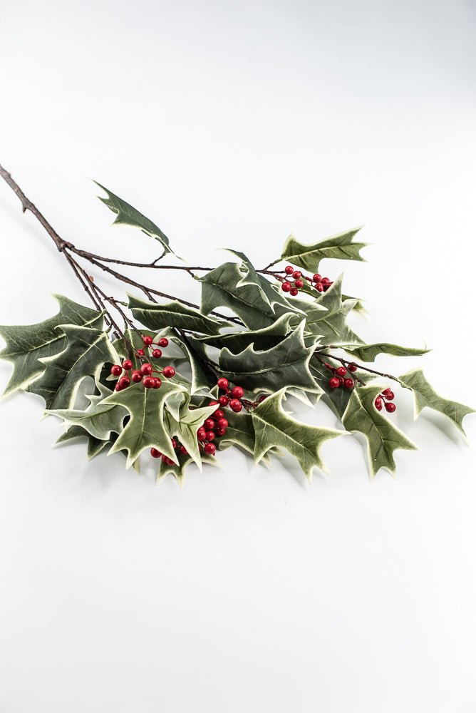 Red Variegated Holly Spray With Berries - 31" - Greenery MarketXHS530-VG/RE