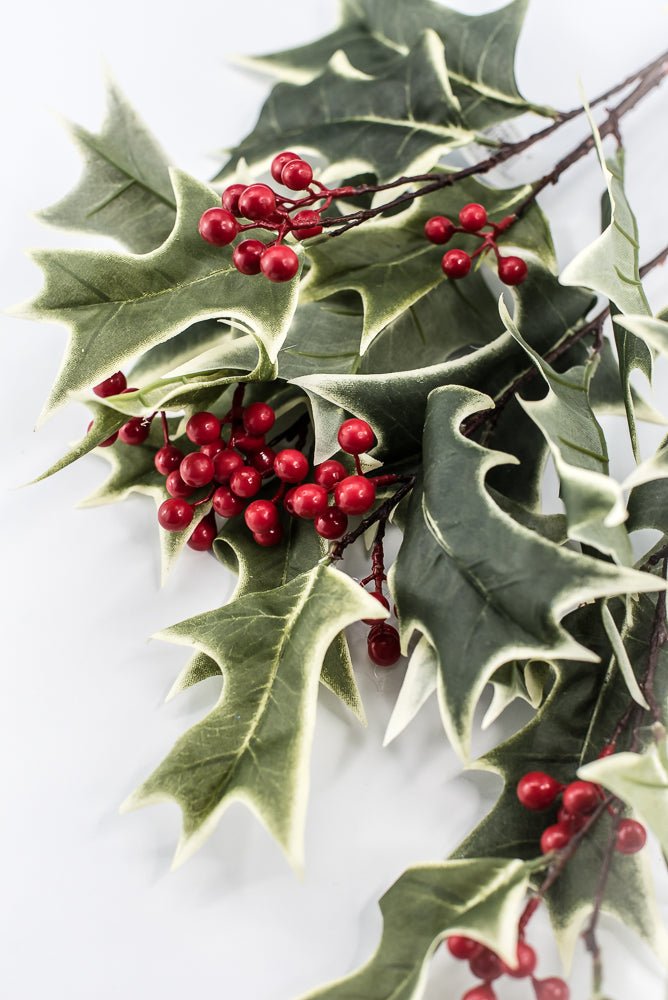 Red Variegated Holly Spray With Berries - 31" - Greenery MarketXHS530-VG/RE