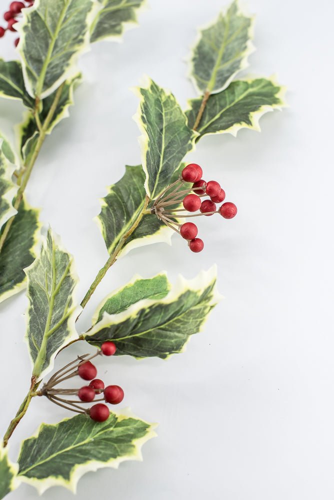 Red Variegated Holly Spray With Berries - 32" - Greenery MarketXHS208-VG/RE