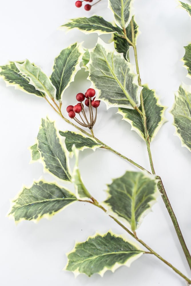 Red Variegated Holly Spray With Berries - 32" - Greenery MarketXHS208-VG/RE