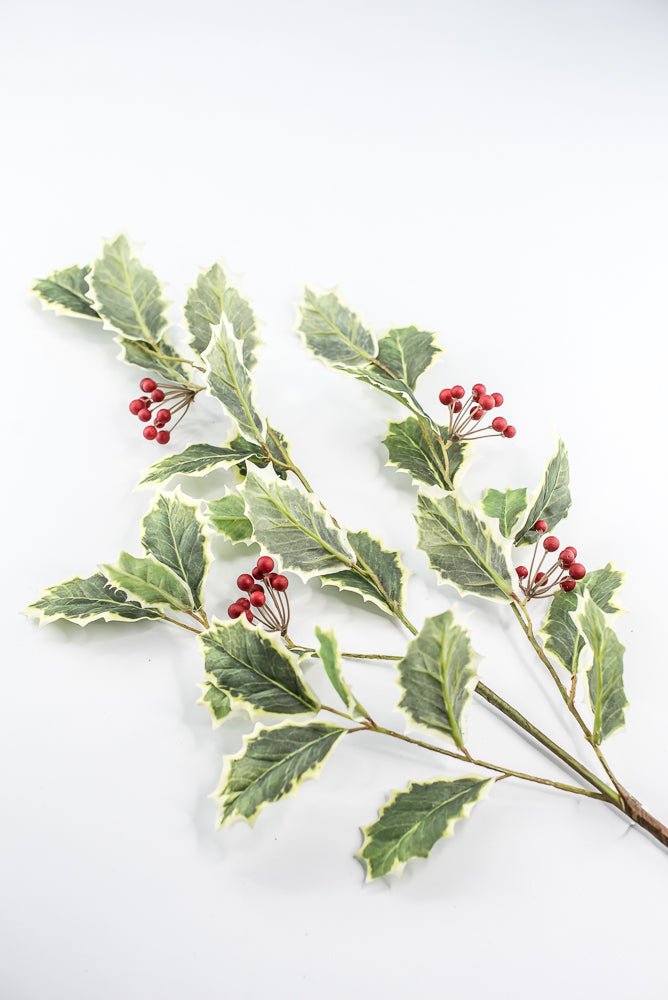 Red Variegated Holly Spray With Berries - 32" - Greenery MarketXHS208-VG/RE