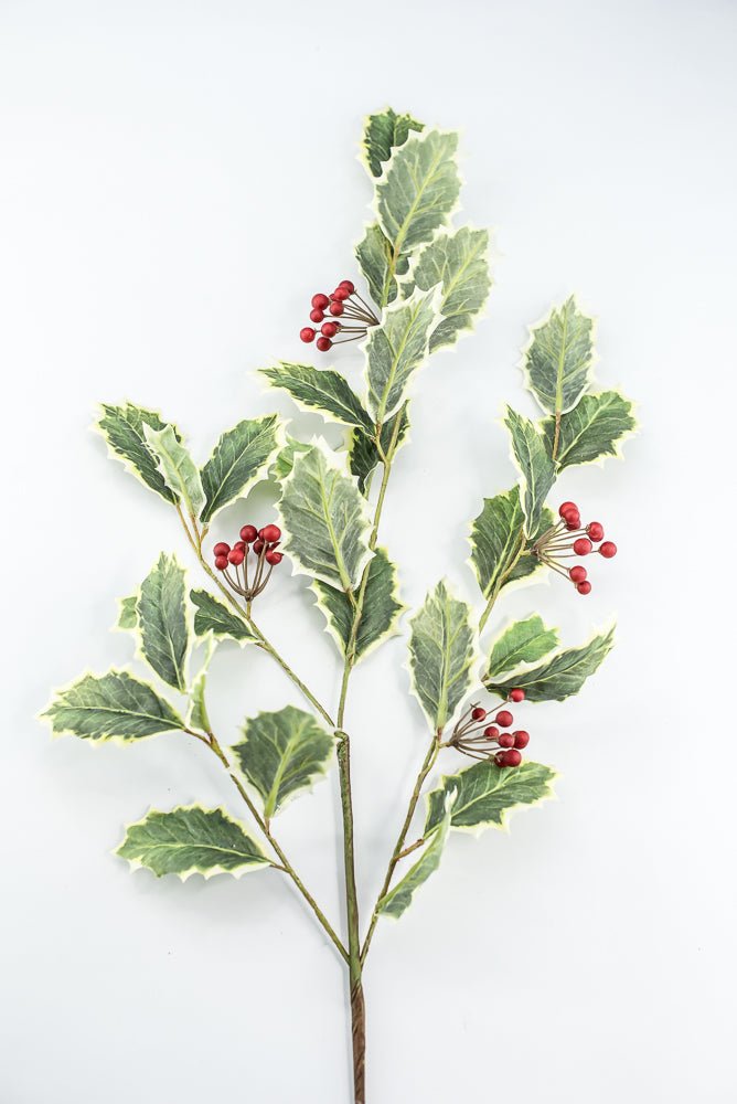 Red Variegated Holly Spray With Berries - 32" - Greenery MarketXHS208-VG/RE