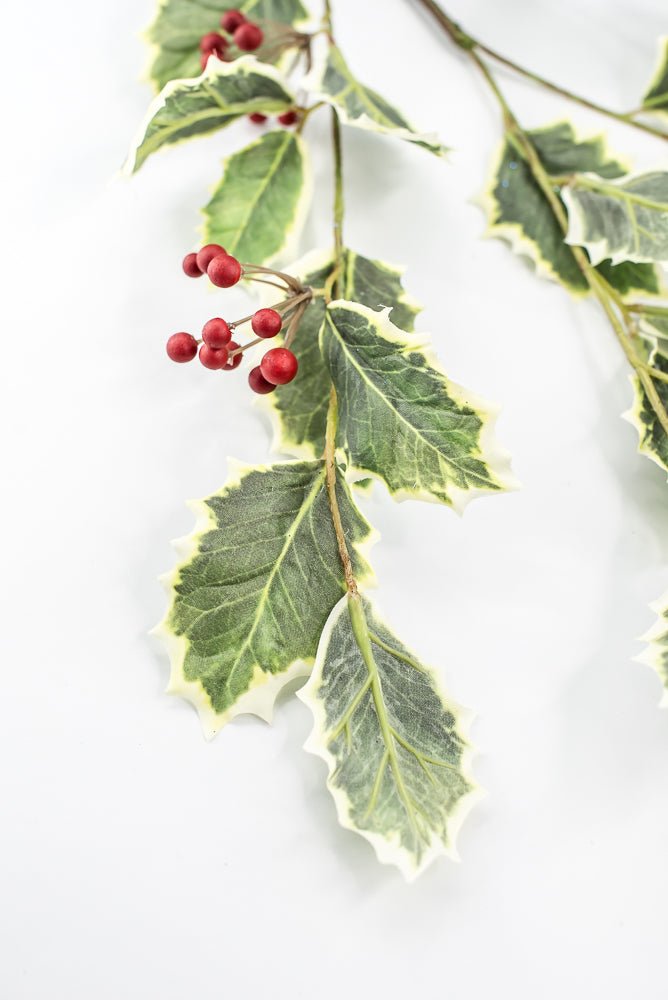 Red Variegated Holly Spray With Berries - 32" - Greenery MarketXHS208-VG/RE
