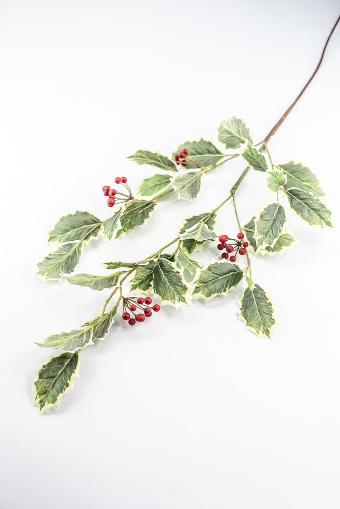 Red Variegated Holly Spray With Berries - 32" - Greenery MarketXHS208-VG/RE