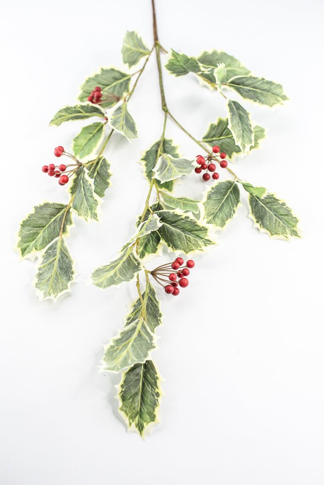 Red Variegated Holly Spray With Berries - 32" - Greenery MarketXHS208-VG/RE