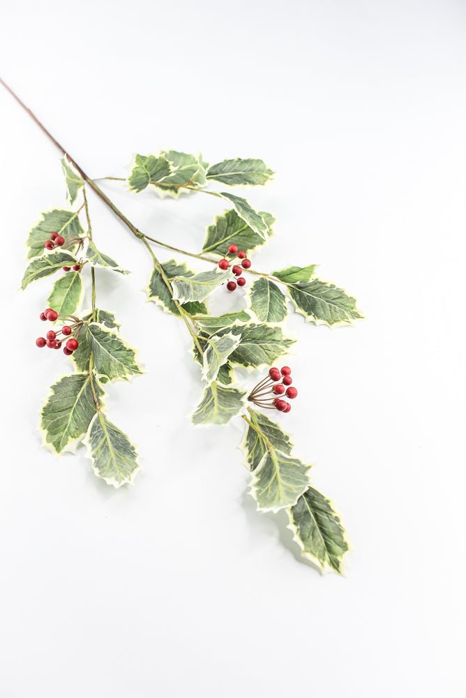 Red Variegated Holly Spray With Berries - 32" - Greenery MarketXHS208-VG/RE