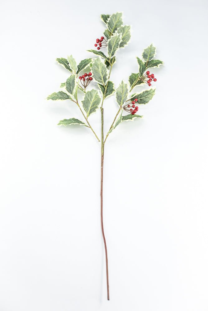 Red Variegated Holly Spray With Berries - 32" - Greenery MarketXHS208-VG/RE