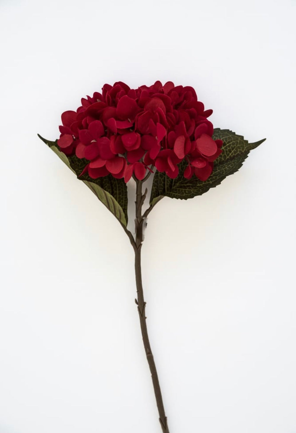 Red Velvet hydrangea stem - Greenery Marketartificial flowers4999 - r