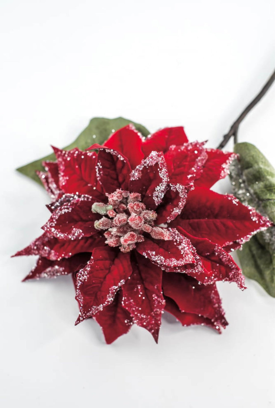 Red velvet iced poinsettia stem - Greenery MarketMTX74542 RED