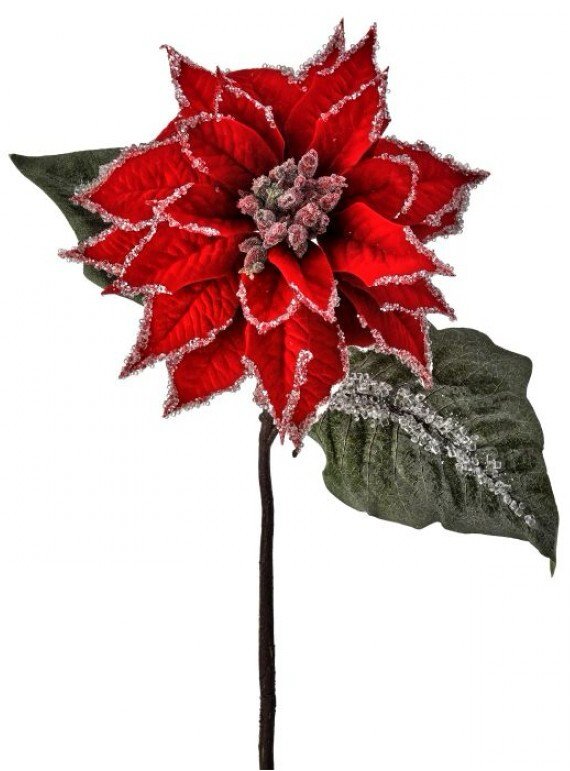 Red velvet iced poinsettia stem - Greenery MarketMTX74542 RED