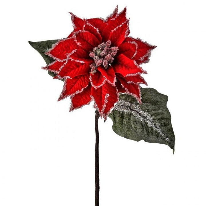 Red velvet iced poinsettia stem - Greenery MarketMTX74542 RED