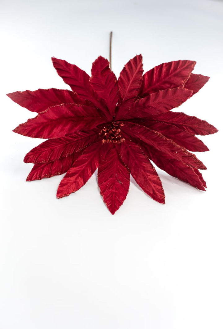 Red velvet poinsettia with glitter edge - Greenery Market86075RD