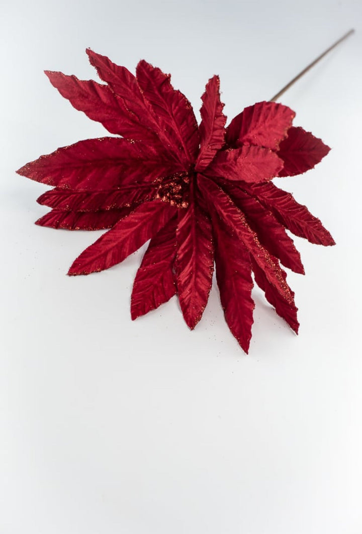 Red velvet poinsettia with glitter edge - Greenery Market86075RD