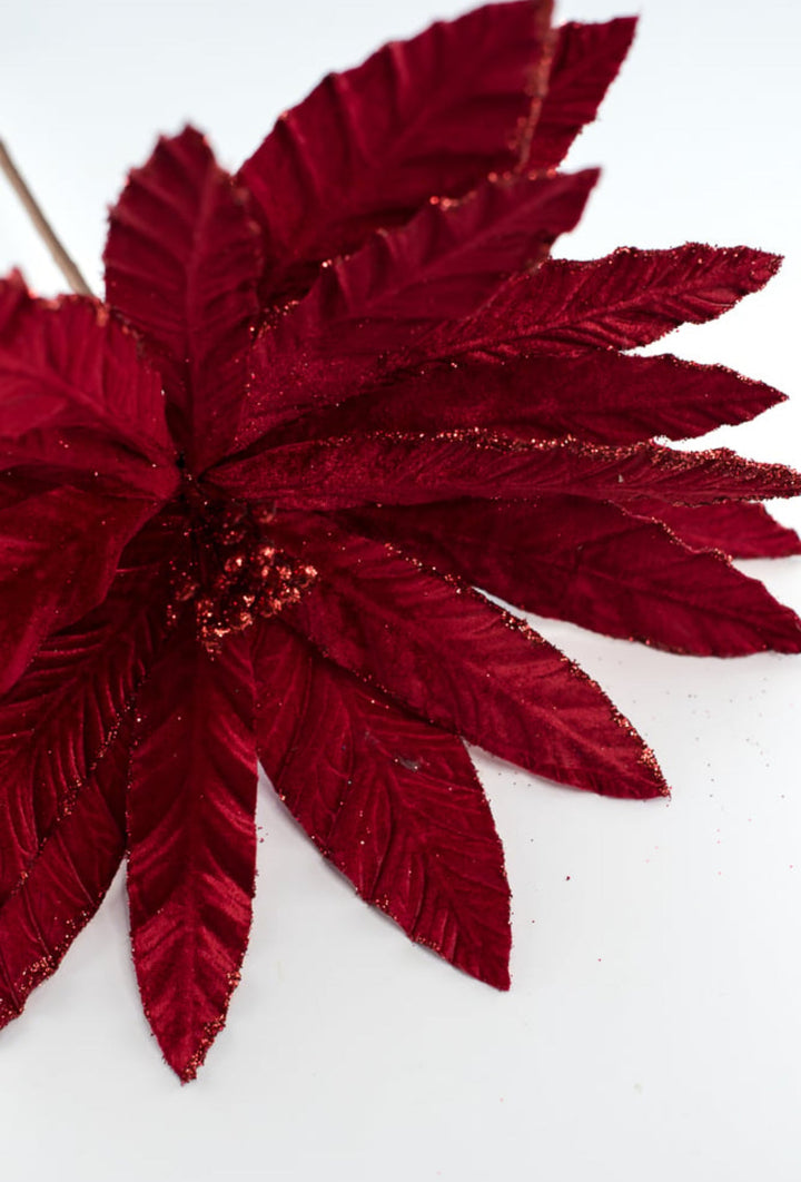 Red velvet poinsettia with glitter edge - Greenery Market86075RD