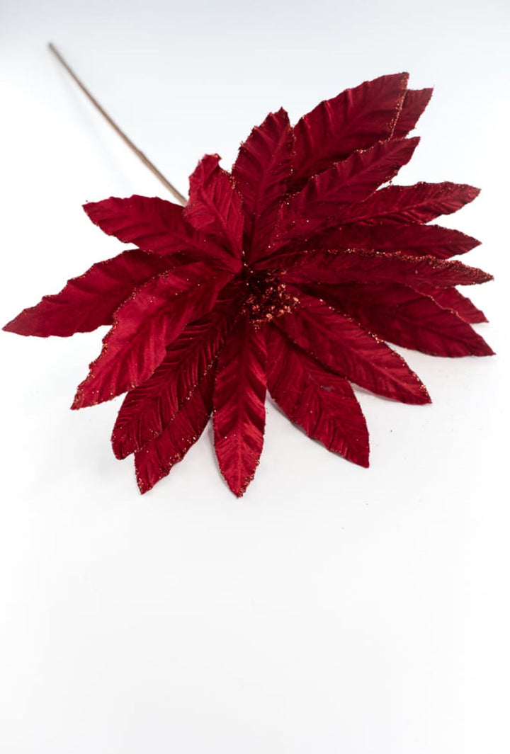 Red velvet poinsettia with glitter edge - Greenery Market86075RD