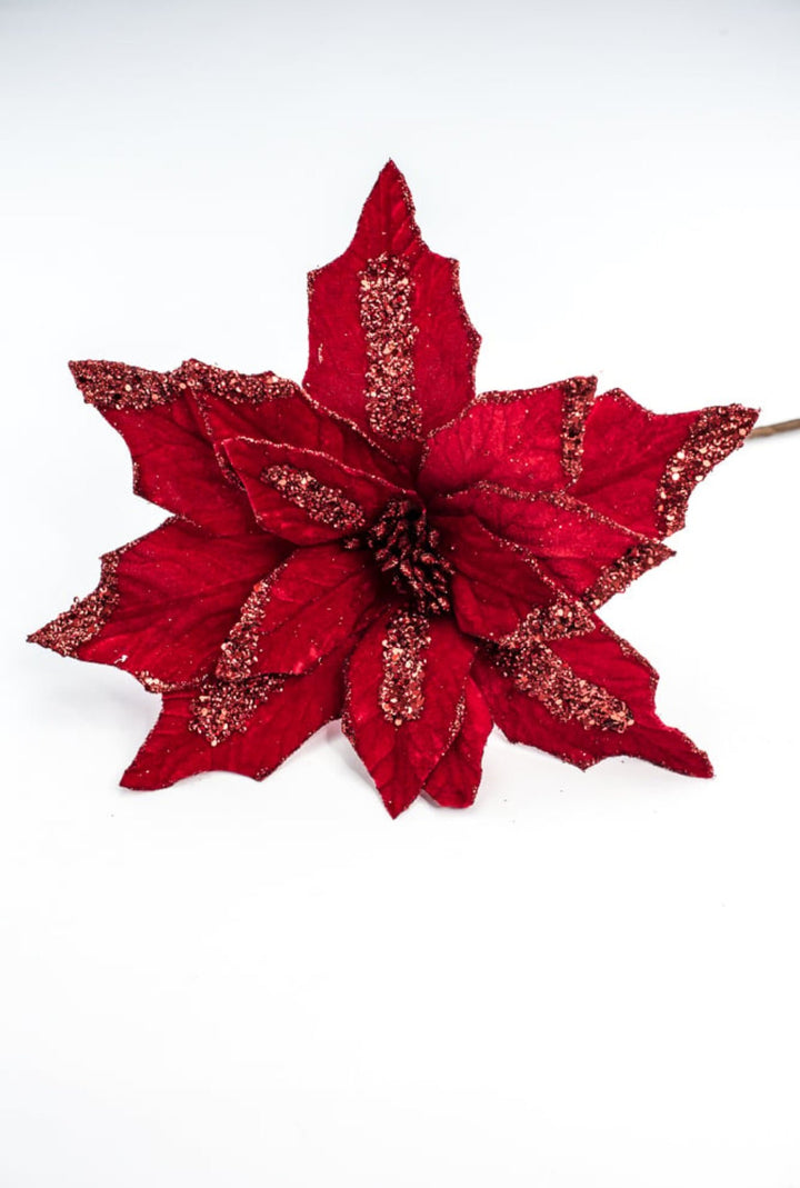 Red velvet poinsettia with sequin accents - Greenery MarketXS411124