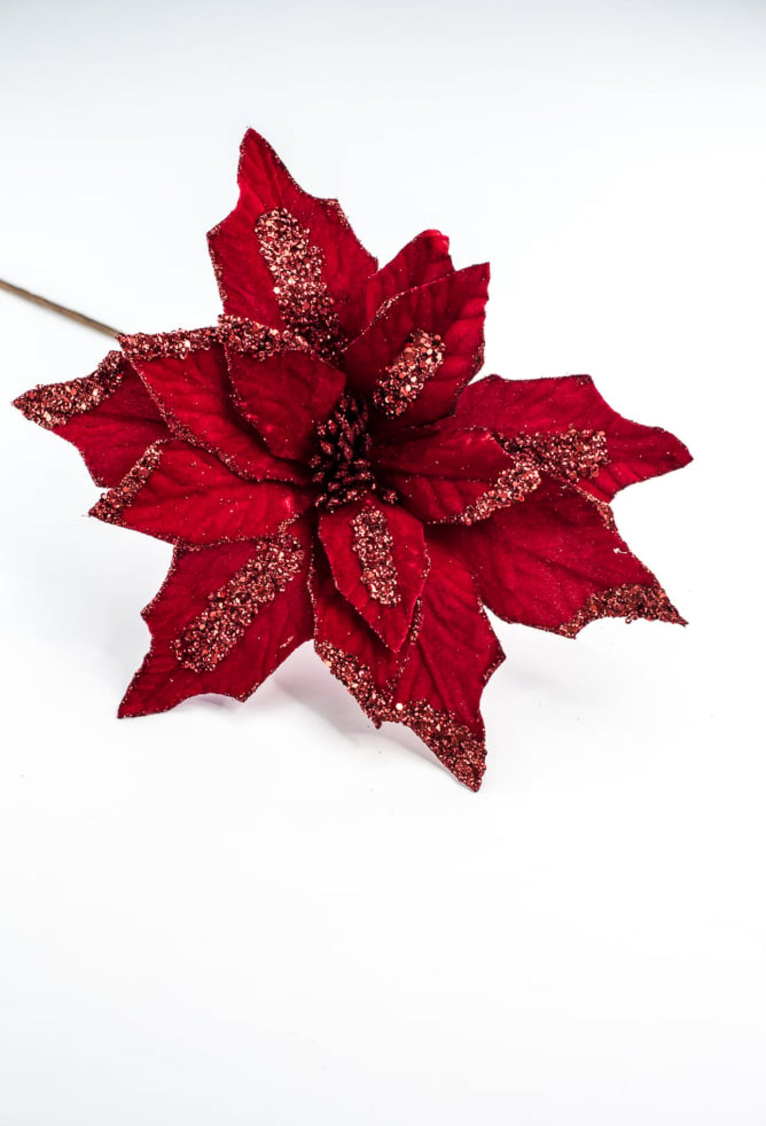 Red velvet poinsettia with sequin accents - Greenery MarketXS411124