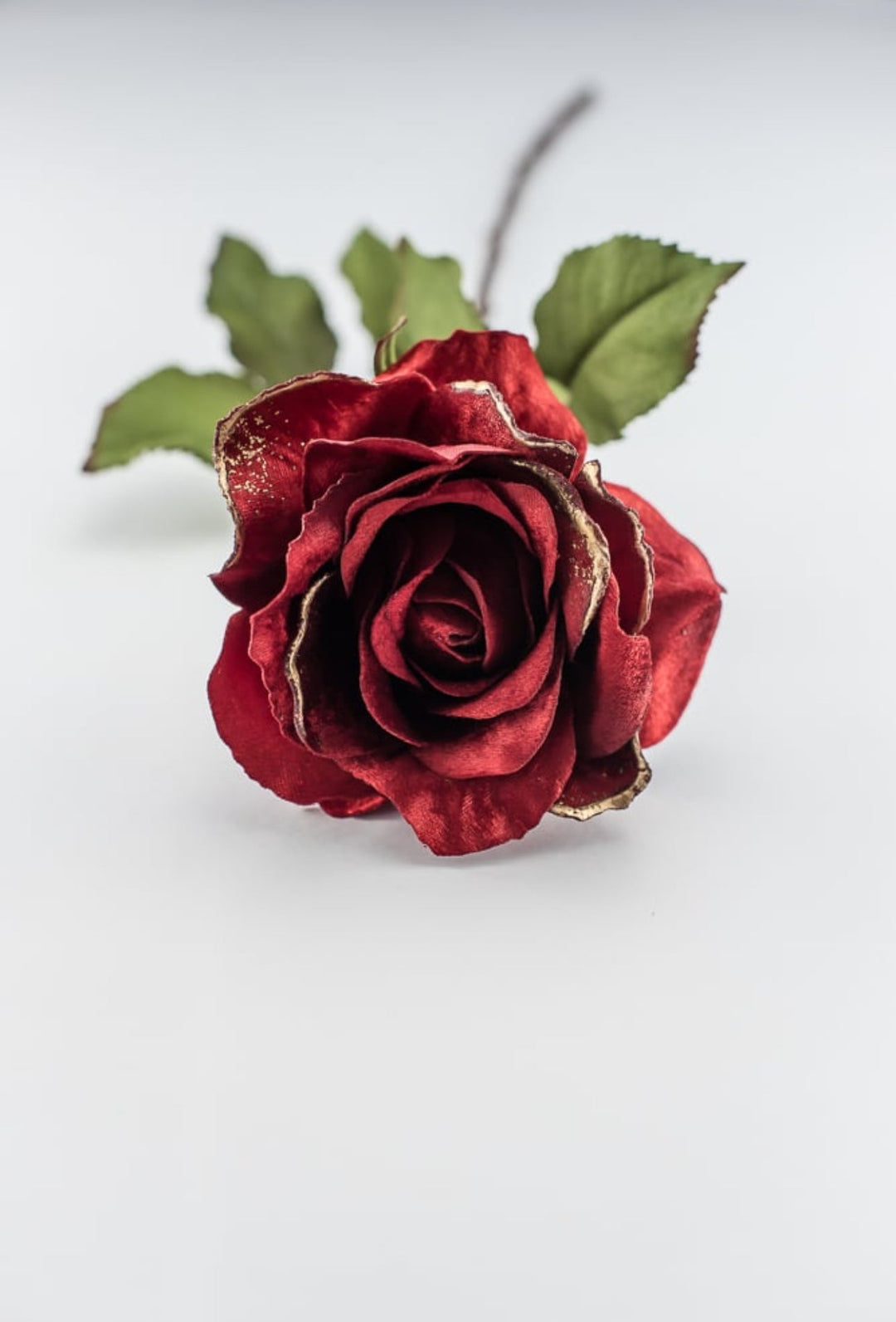 Red velvet rose stem - Greenery MarketXH531 - R