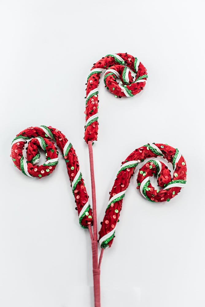 Red, White, and Green Stripe Sequin Spiral Curly Spray - Greenery Market86428RWG
