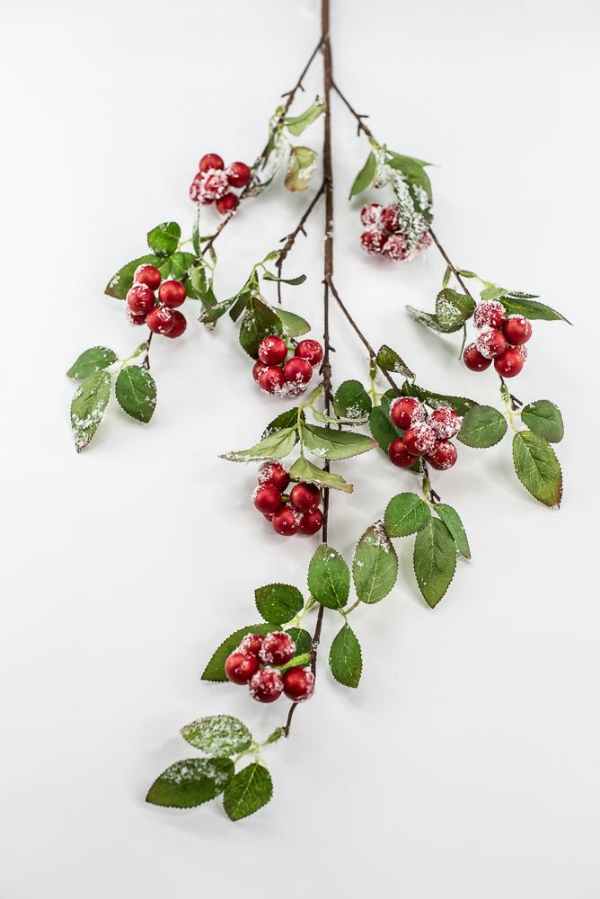 Red winter berry spray with snow - Greenery MarketXB582-R