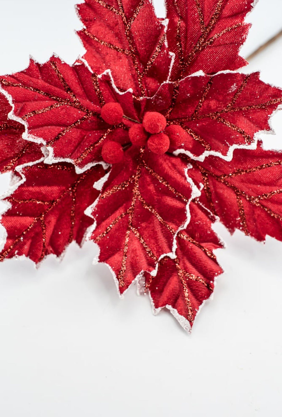 Red with white edge velvet, pompom poinsettia - Greenery MarketMTX73402