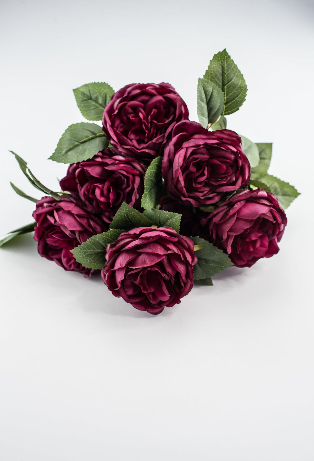 Rose bush - Burgundy wine - Greenery Market84487 - BG