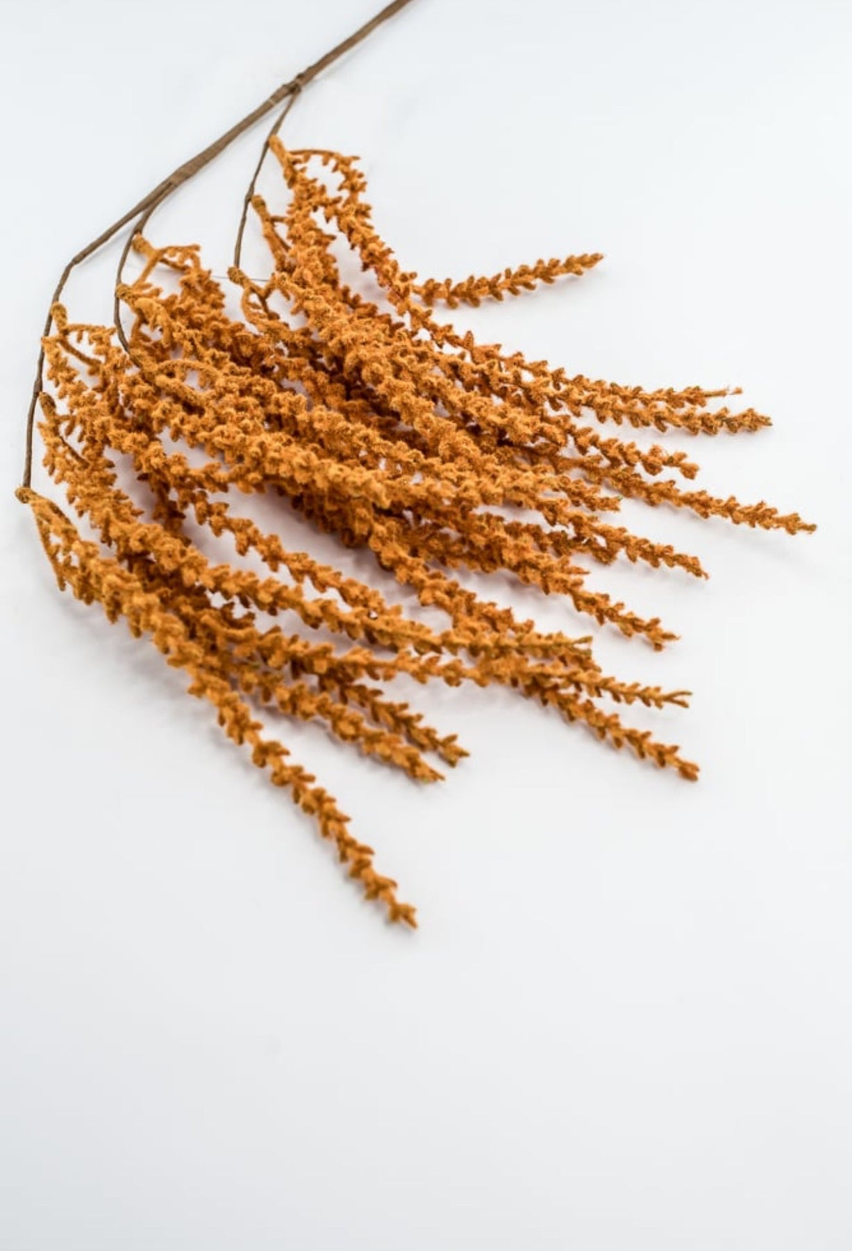 Rust Hanging Feather Reed Spray - Greenery Market