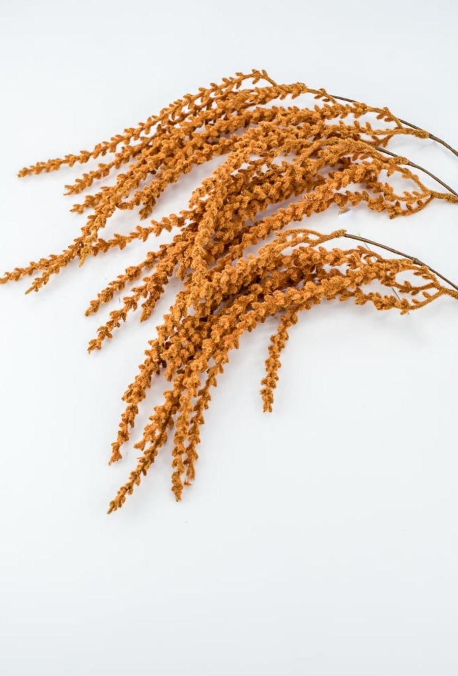 Rust Hanging Feather Reed Spray - Greenery Market