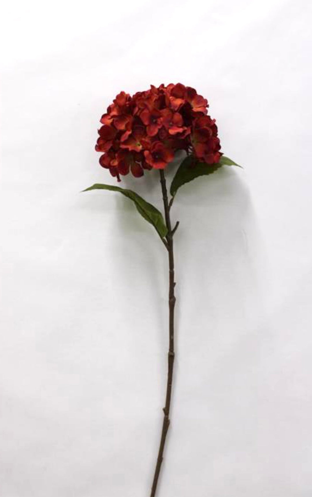 Rust Hydrangea Spray - 25" - Greenery Market6595RT
