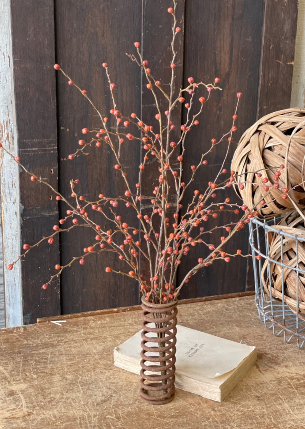 Rust mini berry bush - Greenery Market