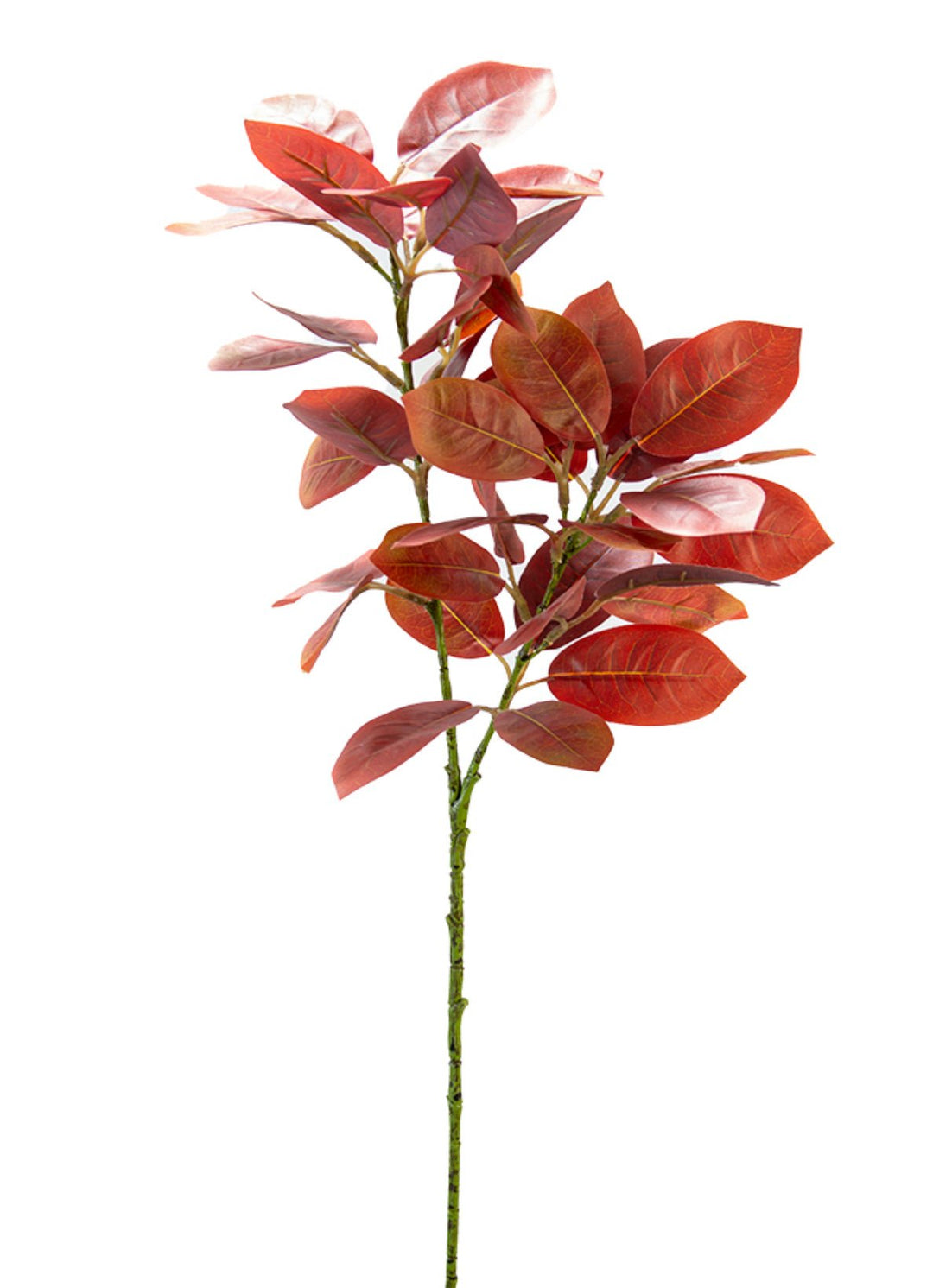 Rust Nandina Leaf Spray - 30" - Greenery Market2751156RT