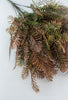 Rust needle fern bush - Greenery Market83610