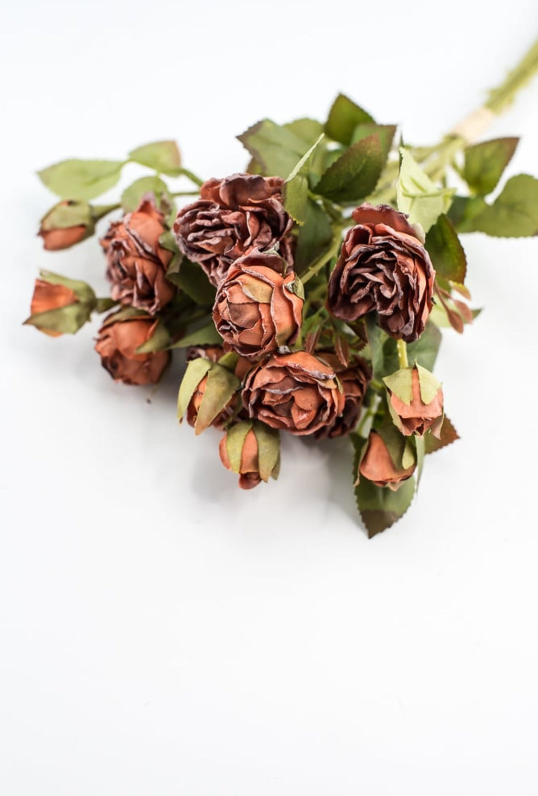 Rusty Brown Mini Rose Bundle - Greenery Market27930